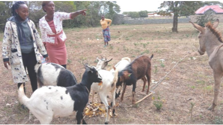 Julia Wanjiru Ndungu