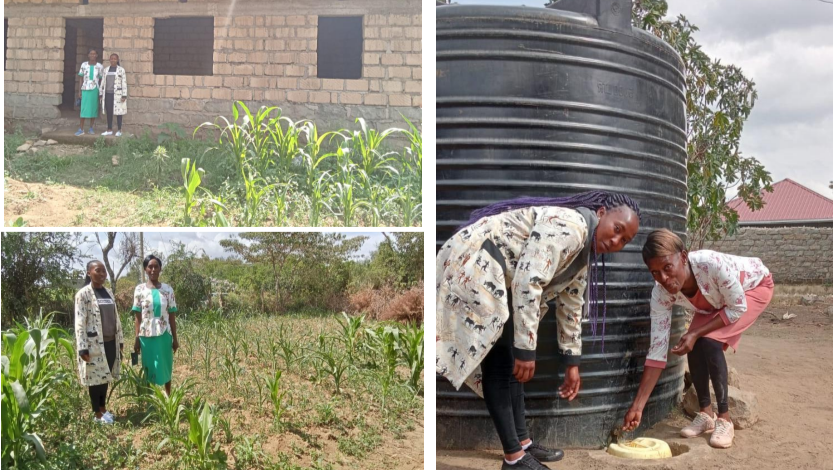 01K7RH0VF8ZD6DTV8M3J6EWRVW