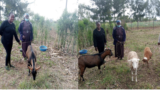 Lighting the Path to Empowerment: Jane Gathoni’s Journey to Self-Reliance